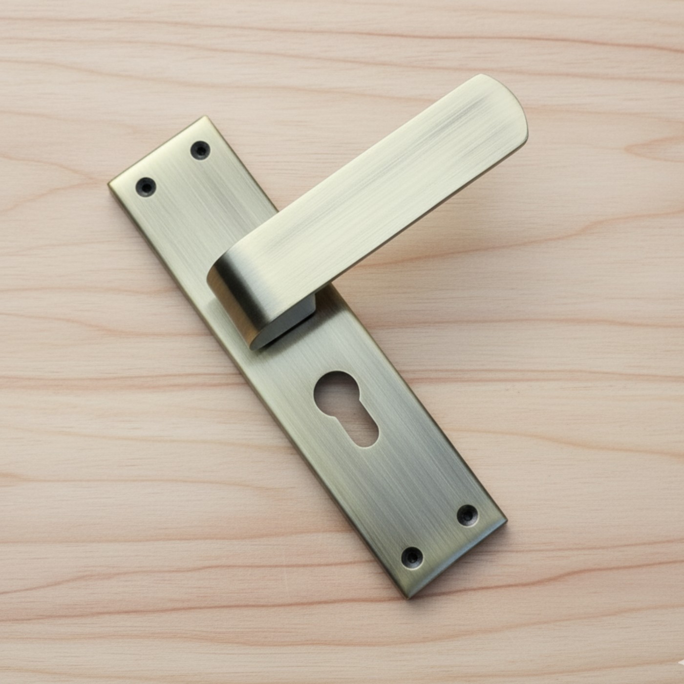 Mortise Door Lock