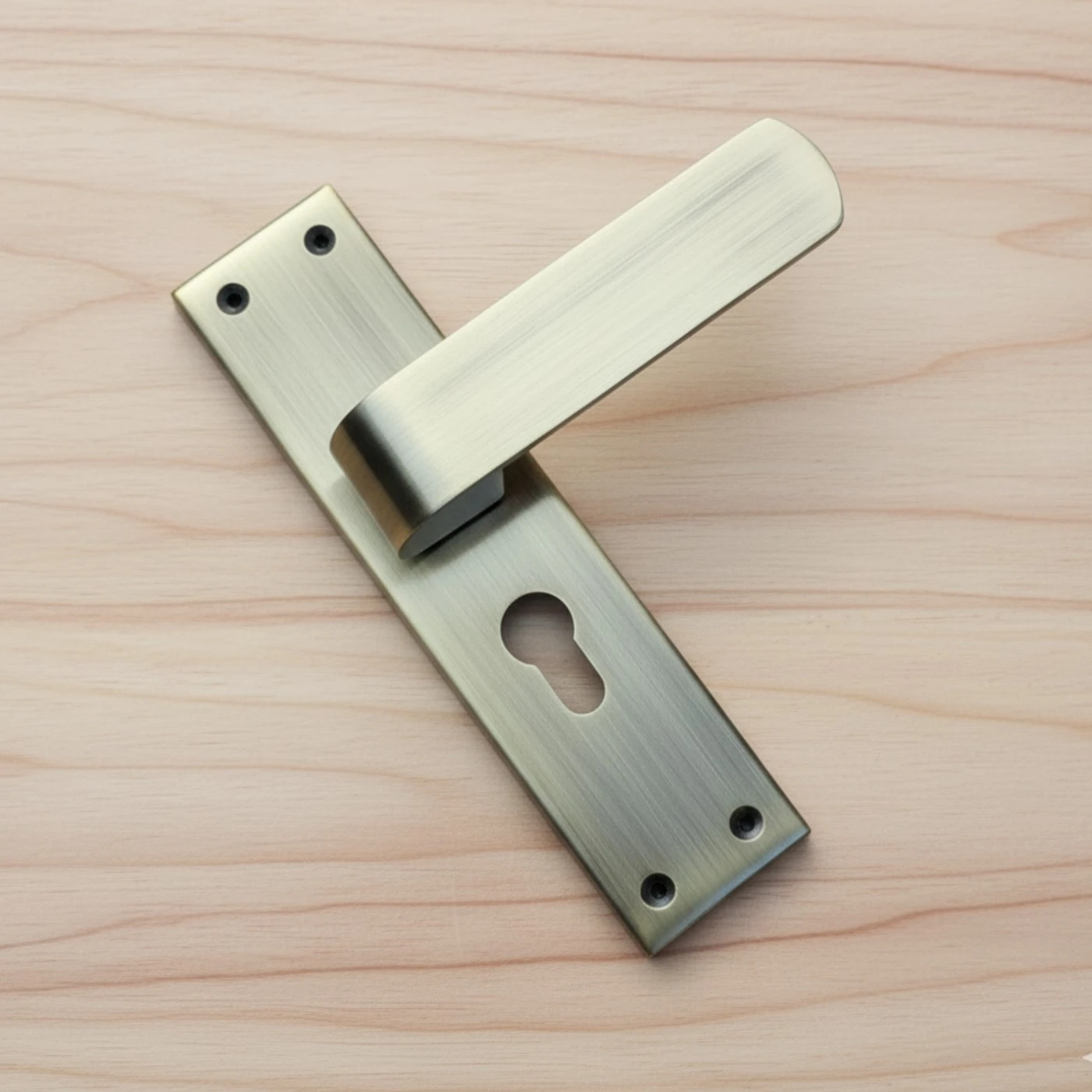Mortise Door Lock