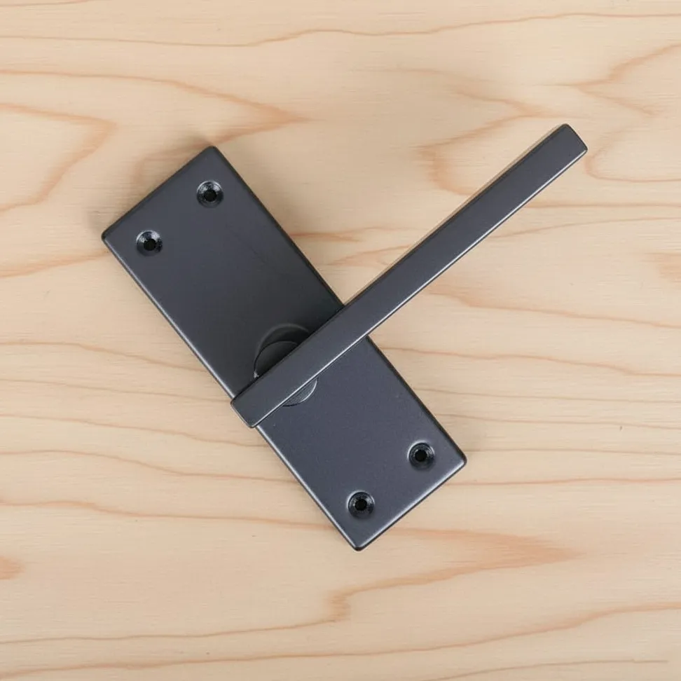 Lofi Stainless Bathroom Latche - Matt Black finish